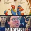 they will come for this book too hate speech.jpeg