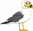 Seagull_300.png