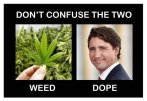 Weed Dope.jpg