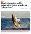 shark advocates.png