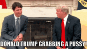 Trump grabs pussy.gif