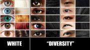 diversity vs white.jpg