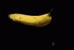 banana-cut.gif