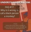 understanding racism monkey.jpg