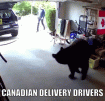 CANADIAN DELIVERY DRIVERS.gif