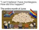 IMG_5332.jpeg
