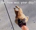 Yourday.jpg