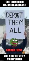 9yqurt.jpg