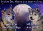 oTVeOuLoPEC233pF.jpeg