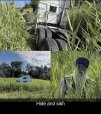 hide and sikh.jpg