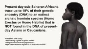 sub-saharan africans not human.jpg