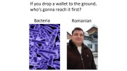 1000000096.jpg