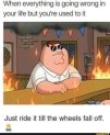 1755411978614.jpeg