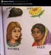 1000003370.png