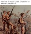 all rhodesians now.jpg