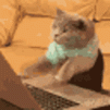 1000013214.gif