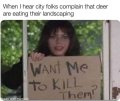 jDmhFY3dK0Tj.jpeg