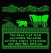 oregon trail.jpg