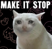 Cat Make it Stop.png