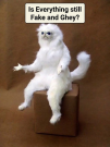 1791430763559.png 1791430763559.png
